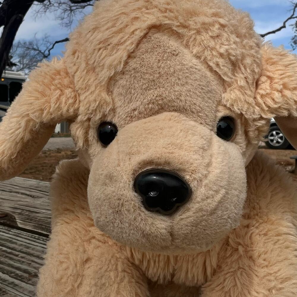 Lulumaia Golden Retriever Microwavable Plush Heating Pad Warmable Stuffed Dog